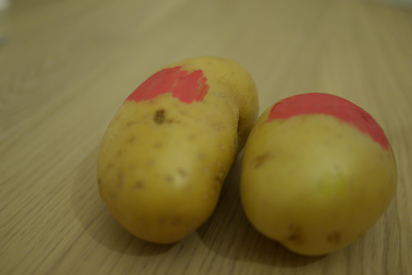 potatoes by Jay Rechsteiner